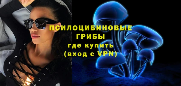 бутират Алзамай