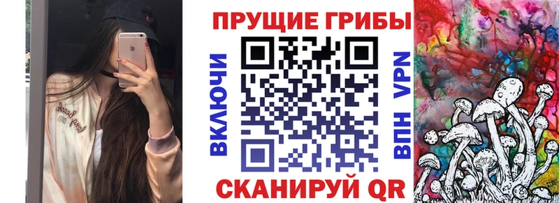 Псилоцибиновые грибы Psilocybe  мега зеркало  Почеп 